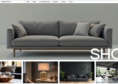 Shop Divi Child Theme created by Zollo.Design