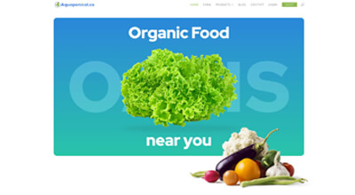 Clontex.com created by Divi.Expert